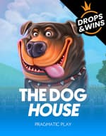 The Dog House
