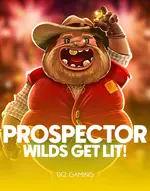 Prospector Wilds: Get Lit!