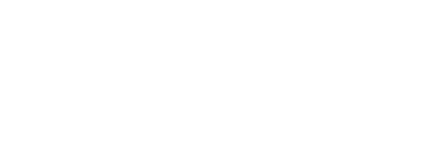 Penguin King